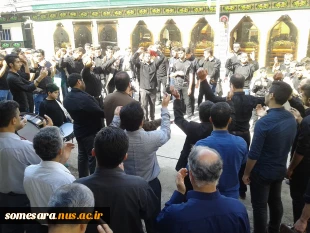 هیئت سینه زنی اساتید - کارکنان و دانشجویان دانشکده  5