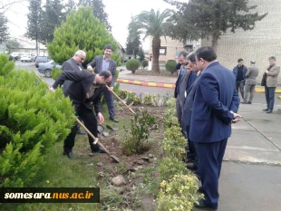 کاشت نهال به مناسبت روز درختکاری در دانشکده فنی و حرفه ای میرزاکوچک صومعه سرا 2