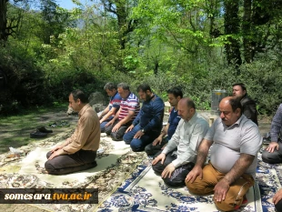 برگزاری اردوی یک روزه  همکاران به ارتفاعات ماسال 4