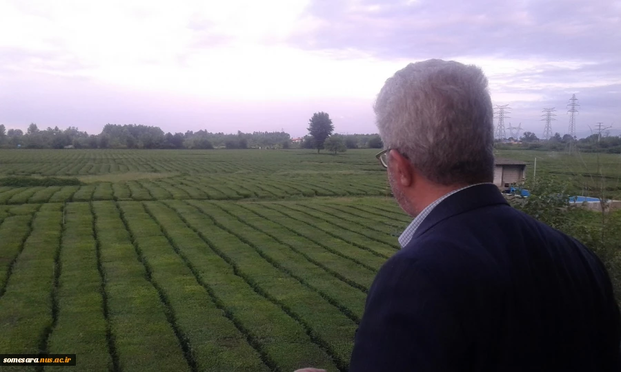 بازدید دکتر علیرضا فیروز معاون اداری و مالی دانشگاه فنی و حرفه ای 5