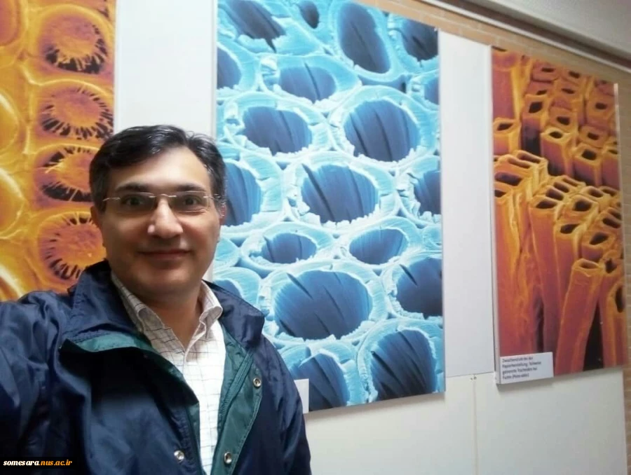 سخنرانی یکی از اعضای هیات علمی دانشکده فنی و حرفه ای صومعه‌سرا در هشتمین کنفرانس بین‌المللی شیمی و مهندسی محیط زیست در برلین آلمان 5