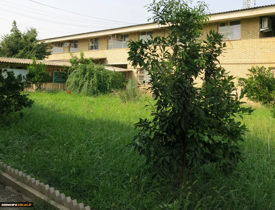 معرفی دانشکده 15