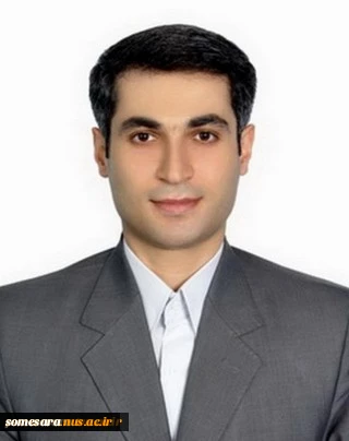 مدیر گروه حسابداری - جناب آقای رامین رحیمی 2