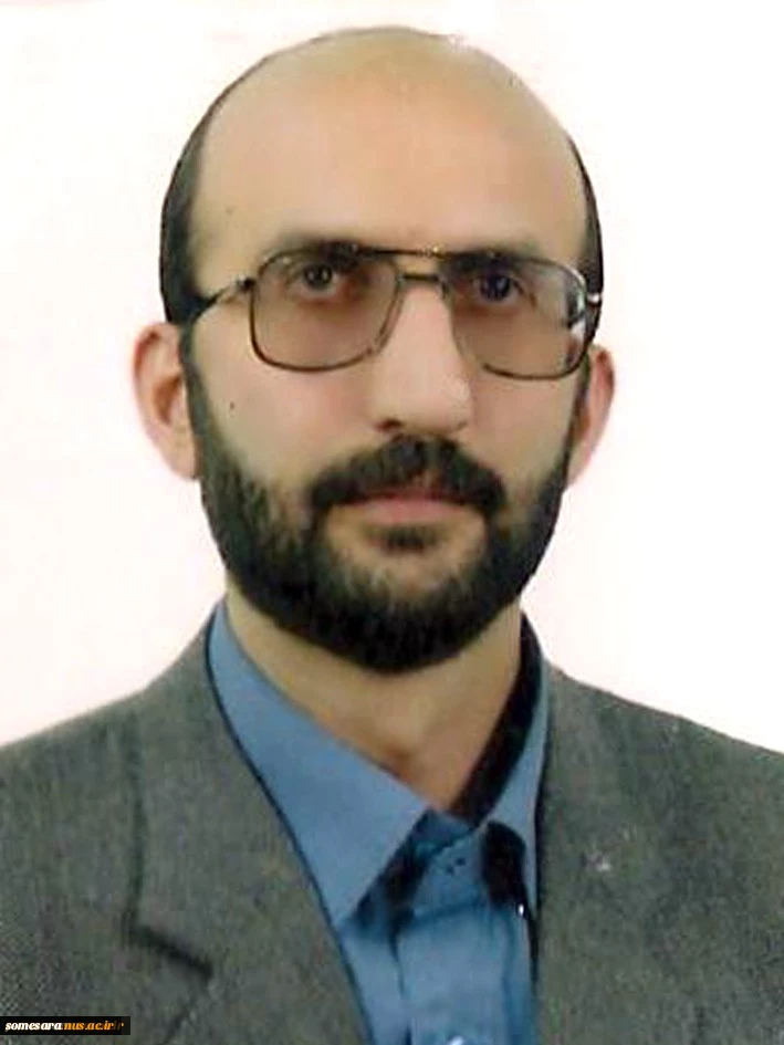 مدیر گروه ساختمان - جناب آقای رفیعی 2