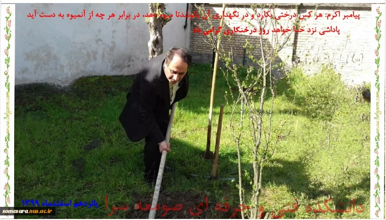 پانزده اسفند ماه روز درختکاری است ما هم می‌توانیم با کاشتن یک درخت در زیباسازی و داشتن هوای سالم شهرمان سهیم باشیم. 2