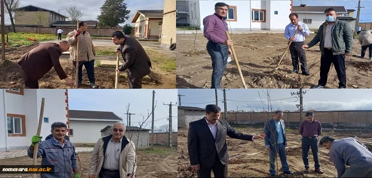 ۱۵ اسفند روز درختکاری گرامی باد 2