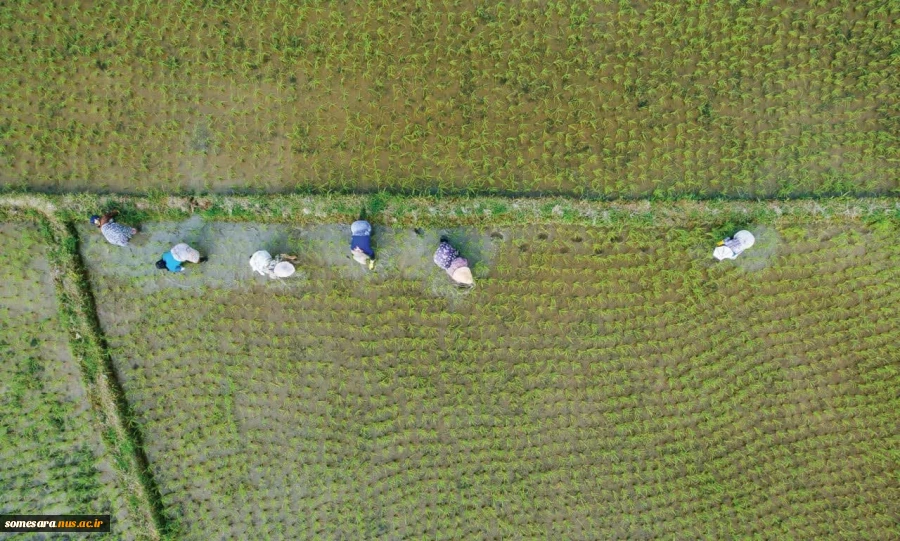 پیام رییس دانشکده ملی مهارت صومعه سرا بمناسبت روز صومعه سرا 6