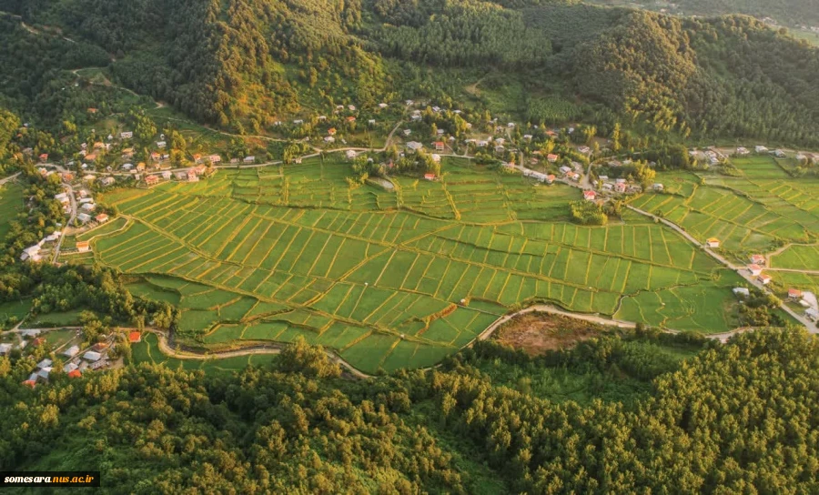 پیام رییس دانشکده ملی مهارت صومعه سرا بمناسبت روز صومعه سرا 7