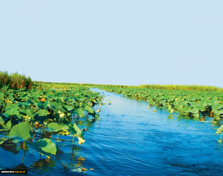 پیام رییس دانشکده ملی مهارت صومعه سرا بمناسبت روز صومعه سرا 10