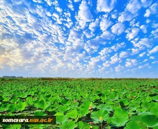 پیام رییس دانشکده ملی مهارت صومعه سرا بمناسبت روز صومعه سرا 11